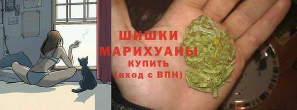 спиды Аркадак