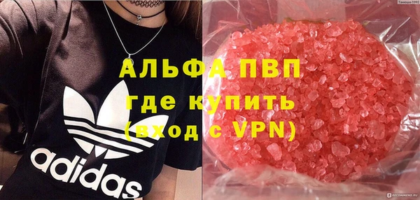 спиды Аркадак
