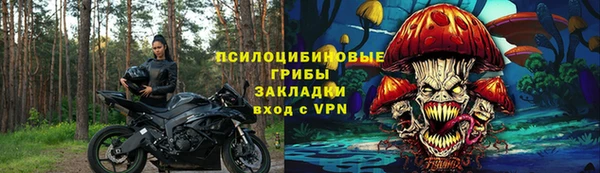 спиды Аркадак