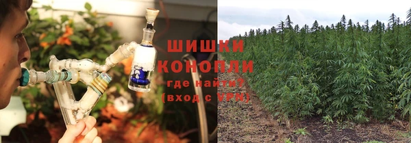 спиды Аркадак