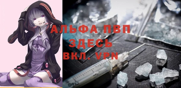 спиды Аркадак