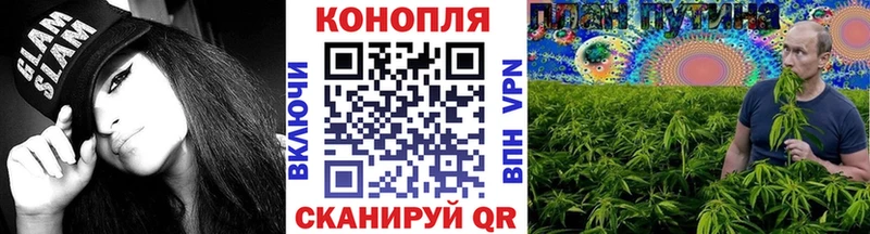 Каннабис гибрид Малаховка